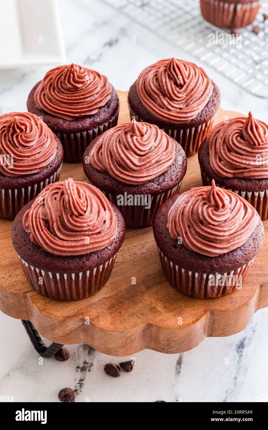 Cupcakes en velours rouge avec glaçage au chocolat tourbillonnant Banque D'Images