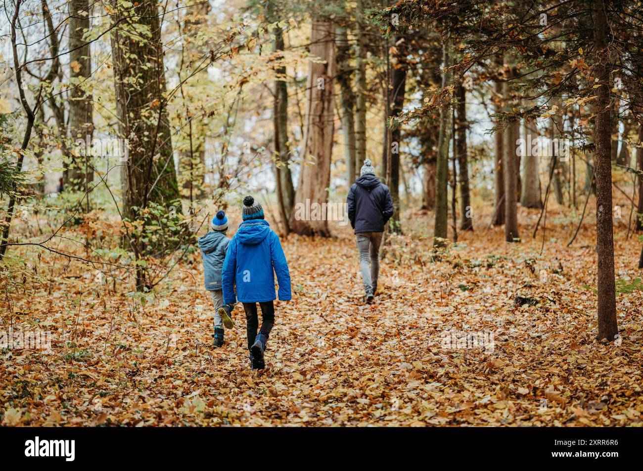 Papa et enfants marchant dans une forêt en automne, dans les feuilles mortes Banque D'Images