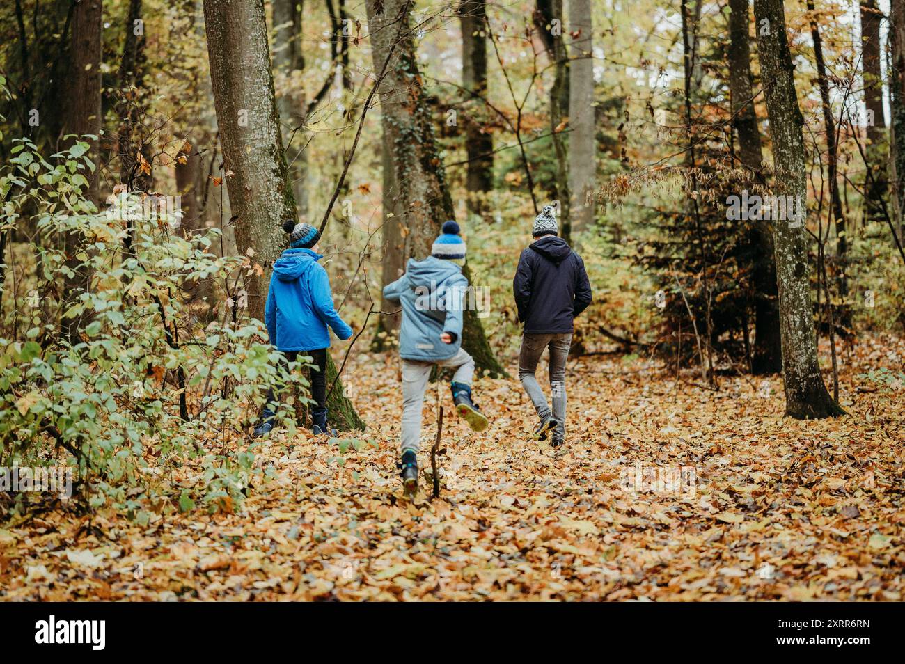 Papa et enfants marchant dans une forêt en automne, dans les feuilles mortes Banque D'Images