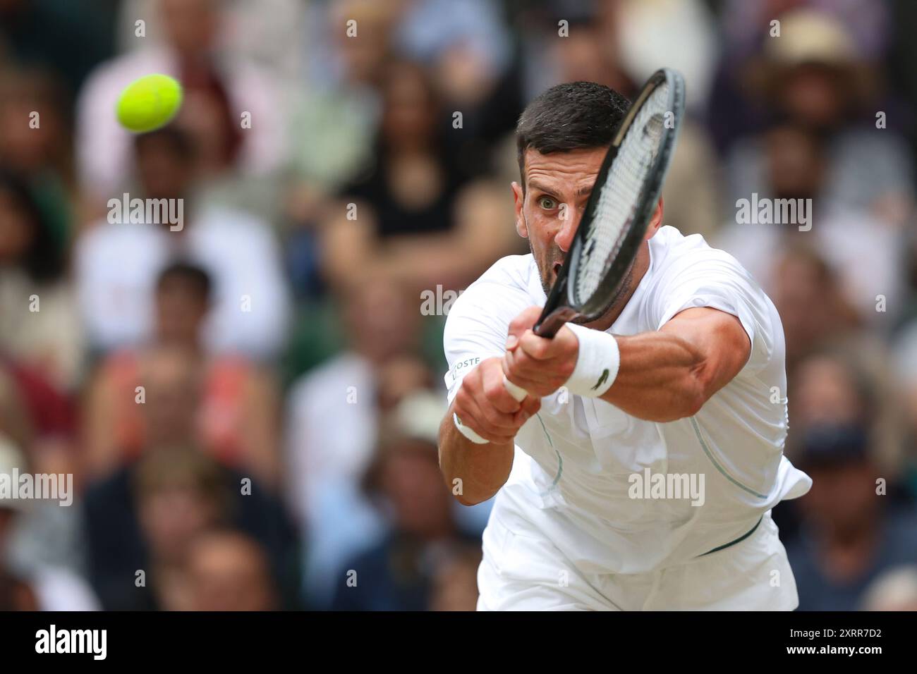 Le joueur de tennis serbe Novak Djokovic en action aux championnats de Wimbledon 2024, Londres, Angleterre. Banque D'Images