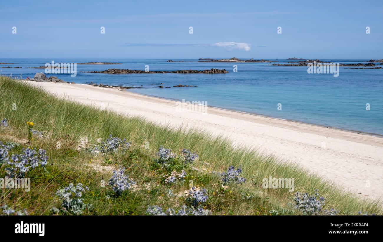 Shell Beach View, Herm Island, îles Anglo-Normandes, Royaume-Uni Banque D'Images