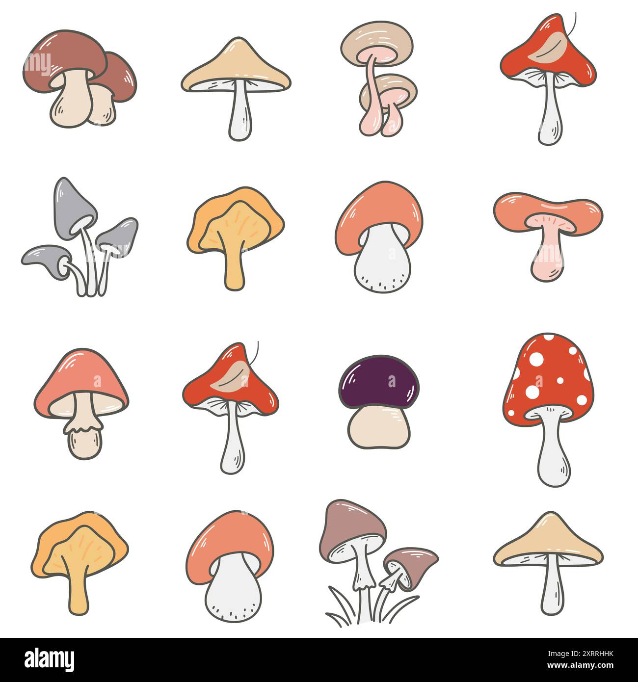 Différents champignons forestiers dans le modèle sans couture de rangée. Fond avec chanterelles, boletus, champignons de miel, agarics de mouche, toadstools, champignon beurre Illustration de Vecteur