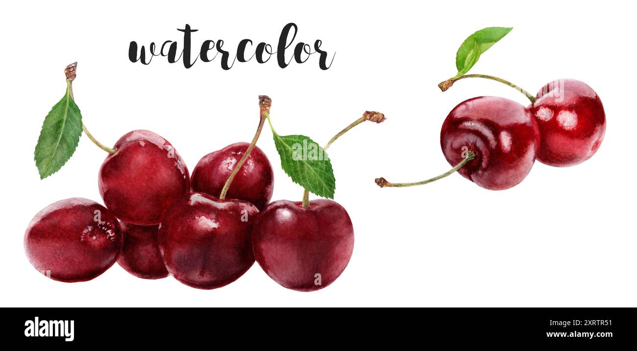 Une belle illustration aquarelle de cerises fraîches et juteuses, représentant des fruits délicieusement Banque D'Images