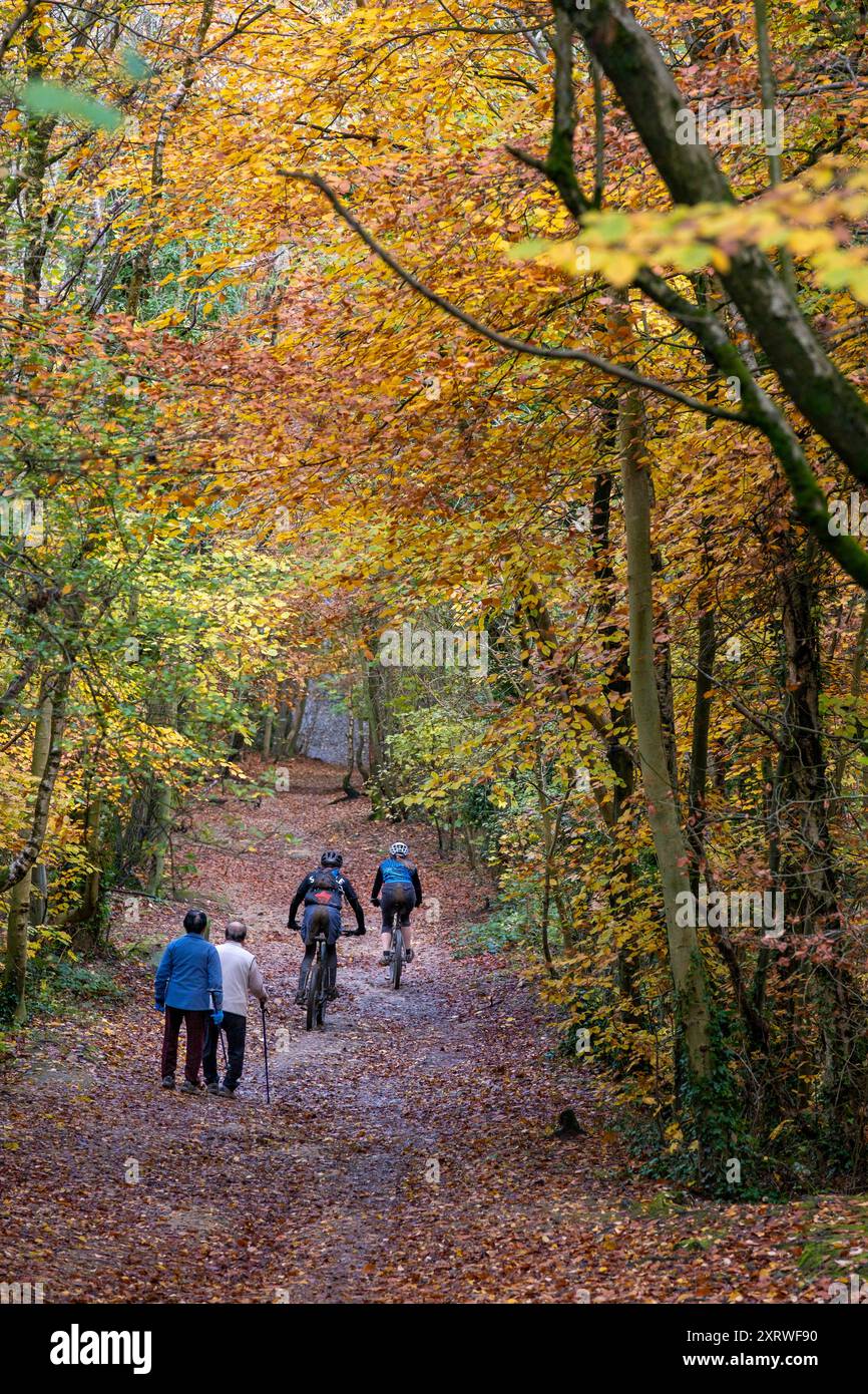 Le bon temps et la lumière du soleil met en lumière les couleurs d'automne dans les feuilles d'arbres sur la colline de Leckhampton, Cheltenham. Banque D'Images Le bon temps et la lumière du soleil met en lumière les couleurs d'automne dans les feuilles d'arbres sur la colline de Leckhampton, Cheltenham. Banque D'Images