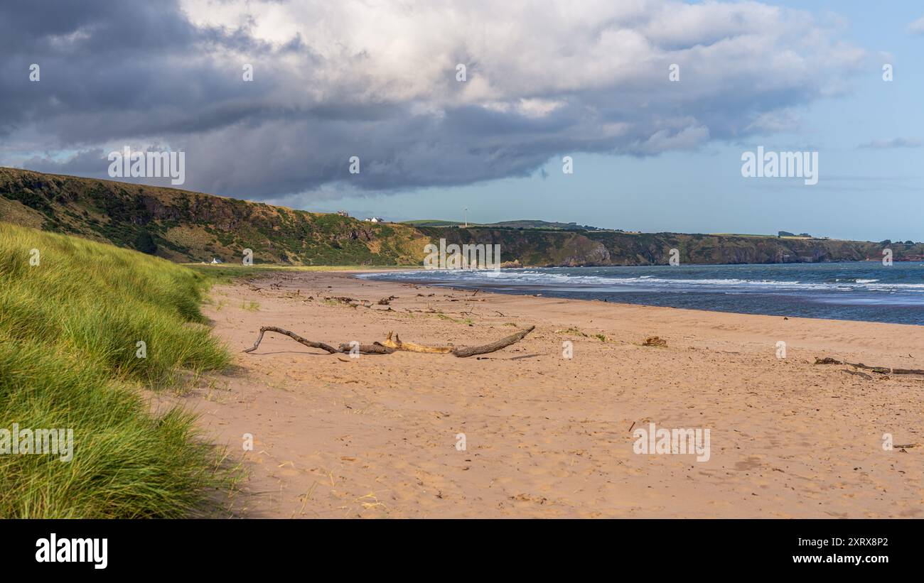 La plage et la côte de la mer du Nord près de la réserve naturelle nationale de St Cyrus, Aberdeenshire, Écosse, Royaume-Uni Banque D'Images