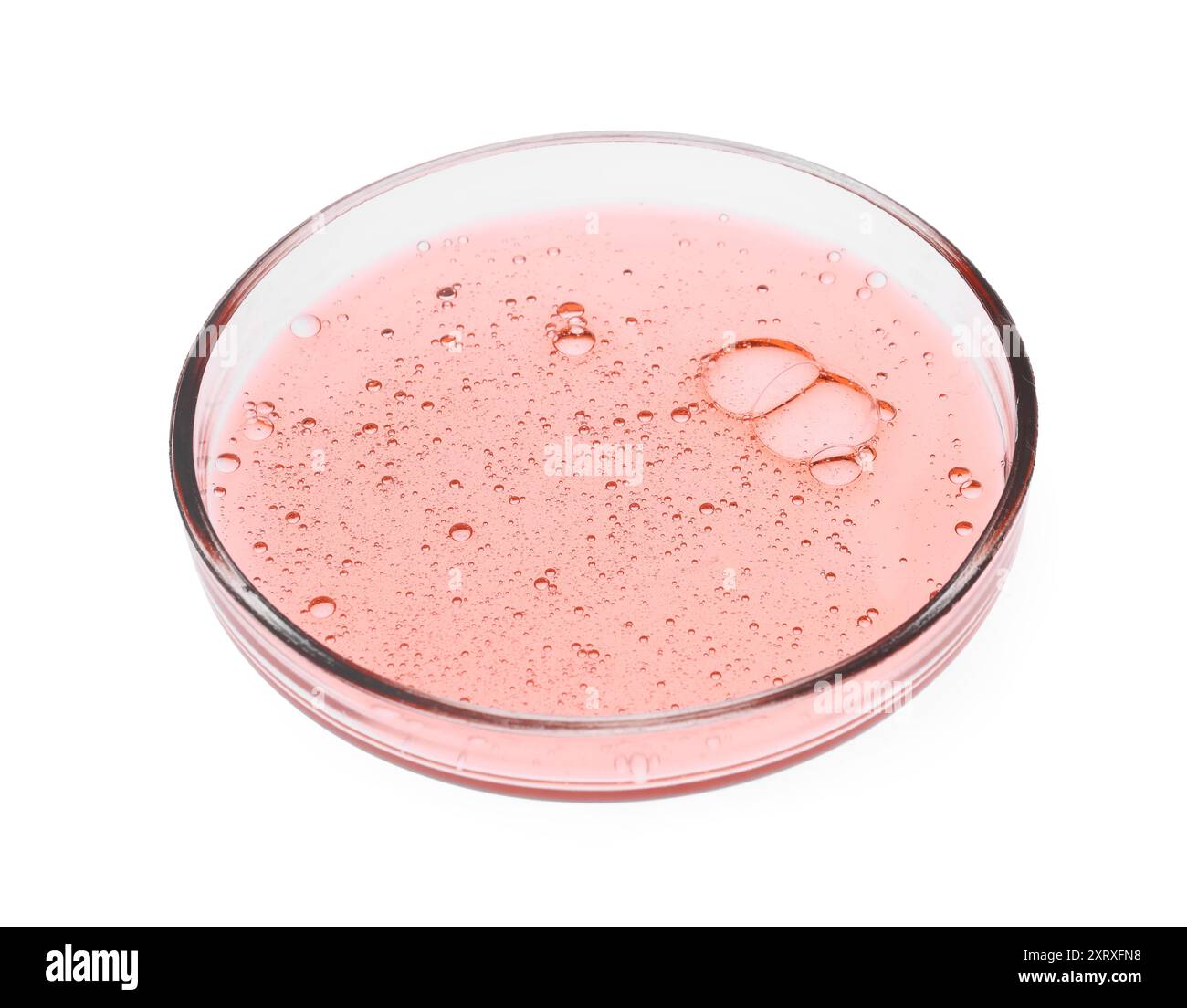 Boîte de Pétri avec échantillon isolé sur blanc Banque D'Images