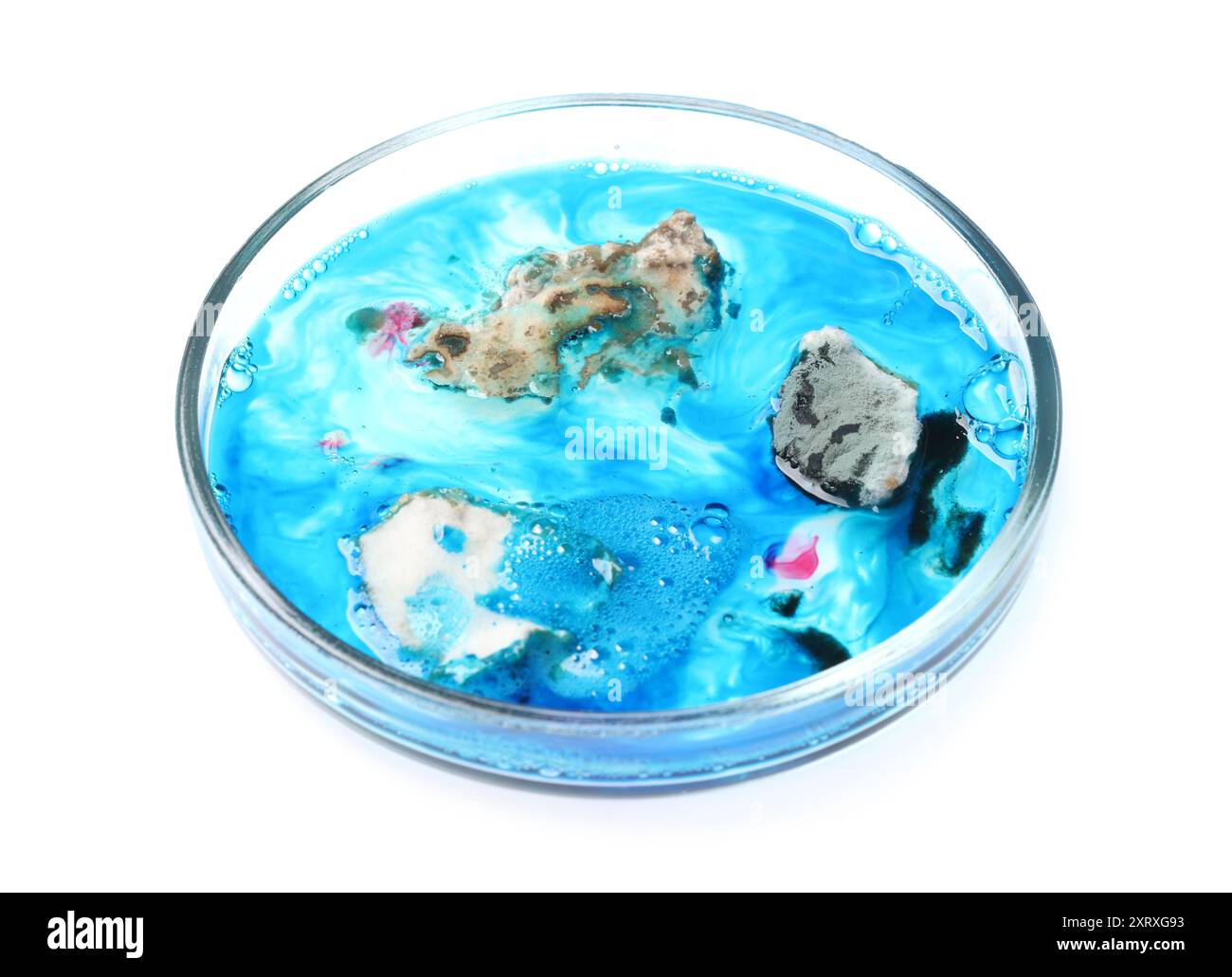 Boîte de Pétri avec bactéries isolées sur blanc Banque D'Images
