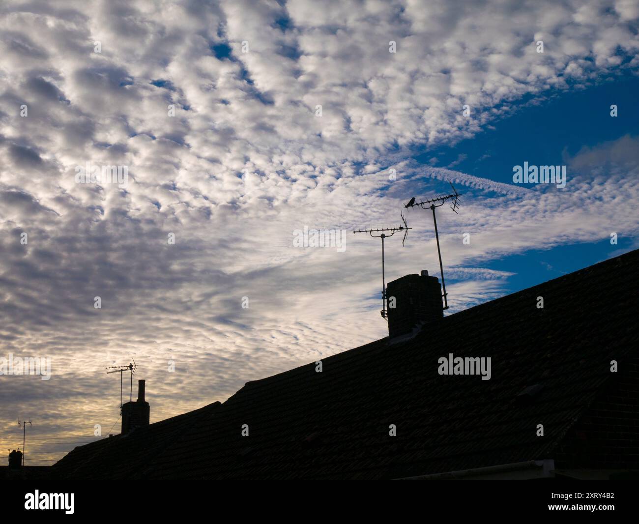Première lumière avec un paysage de nuages altocumulus spectaculaire sur mon village natal de Radley dans l'Oxfordshire, illuminer les maisons et les toits. J'adore regarder le ciel. Ce que vous voyez est souvent beau, et en constante évolution ; vous ne voyez jamais le même ciel deux fois. En marchant dans la plupart des endroits, je semble généralement être la seule personne à lever les yeux ; tout le monde est tête baissée, vaquant à leurs affaires quotidiennes. Ils ne savent pas ce qu'ils manquent.. Banque D'Images