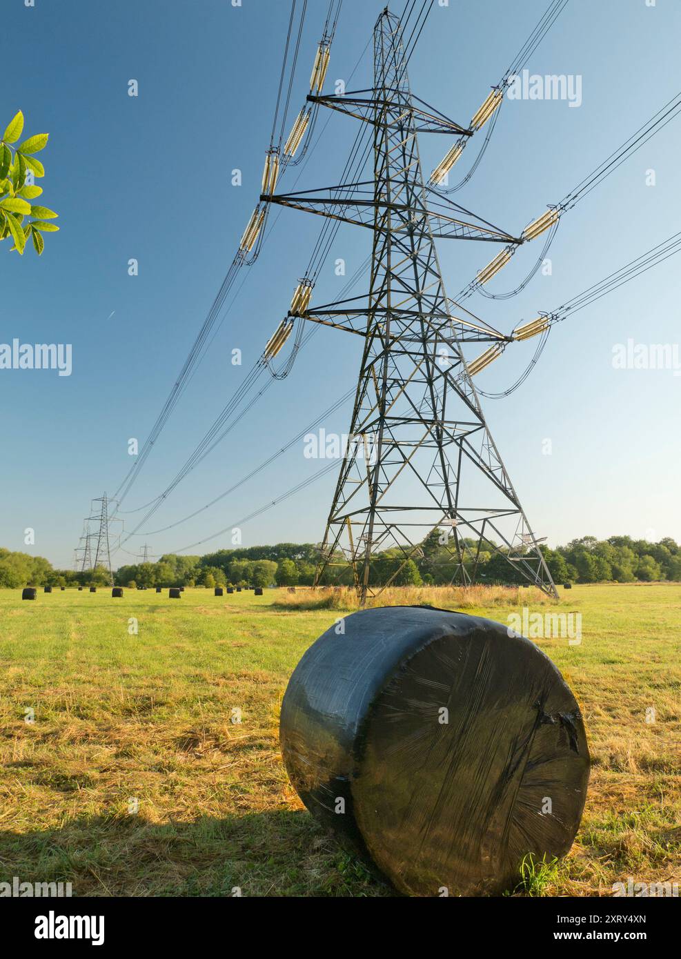 Pylônes et balles d'ensilage sur Kennington Meadows. J'ai toujours été fasciné par nos pylônes britanniques - ce que l'on appellerait dans une grande partie du monde des tours de transmission. Marchant à travers le paysage, ils ont un impact visuel si fort et frappant. Ceux-ci sont sur Kennington Meadows, entre Oxford et Abingdon., mais quels sont exactement les mystérieux sacs noirs brillants ? Malheureusement, ce ne sont pas des excréments extraterrestres géants. Ils contiennent en fait de l'ensilage en balles pour nourrir le bétail ; prenez d'abord votre rouleau de foin conventionnel, enveloppez-le dans du plastique et laissez fermenter en ensilage délicieux pour les animaux de ferme. Banque D'Images