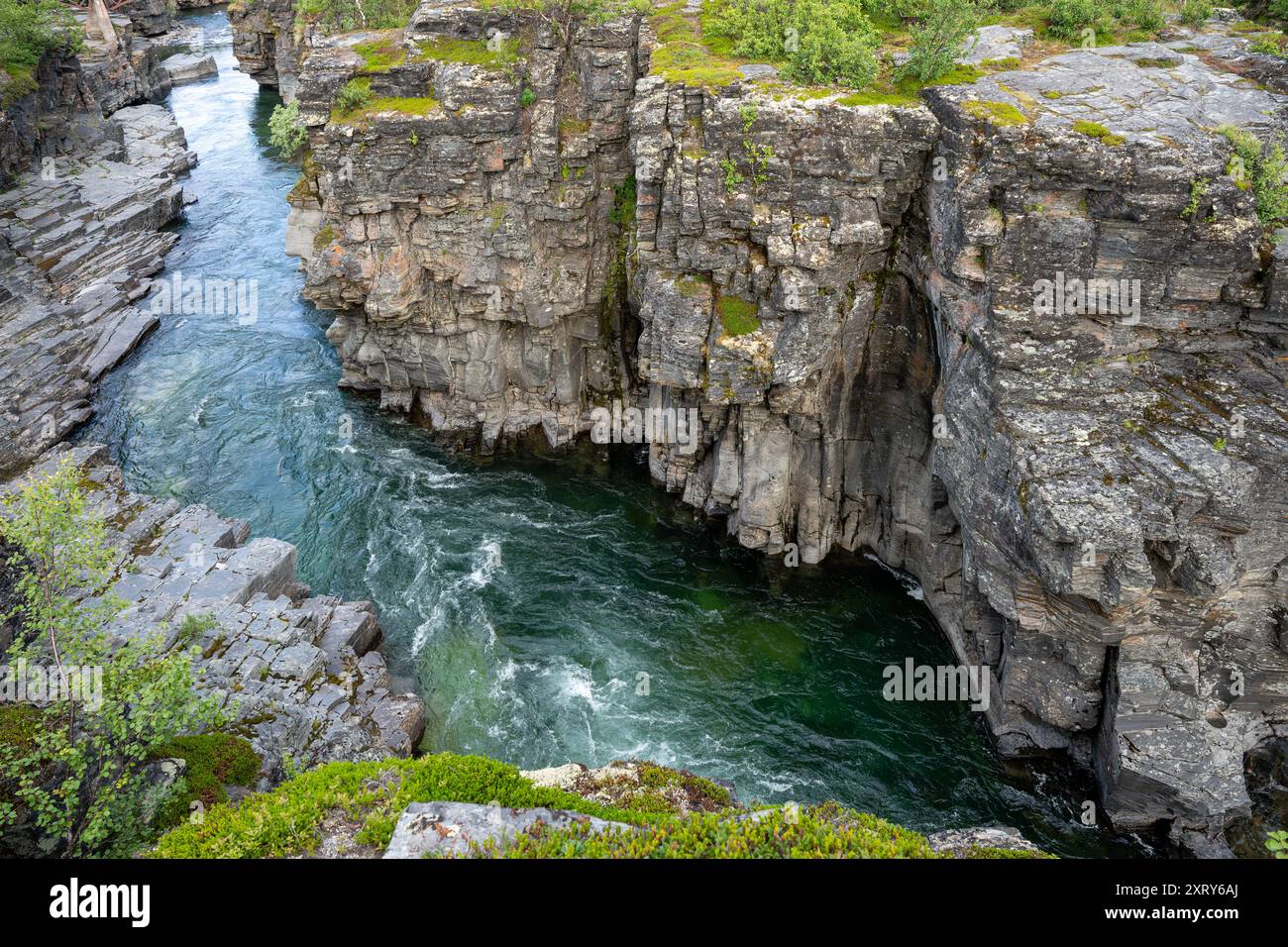 Canyon de la rivière Abisko dans le parc national d'Abisko, Suède Banque D'Images