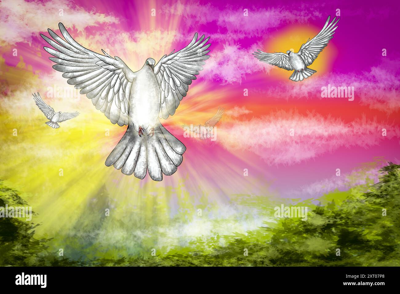 Colombe blanche volant dans un ciel coloré, représentant l'espoir et la paix Banque D'Images