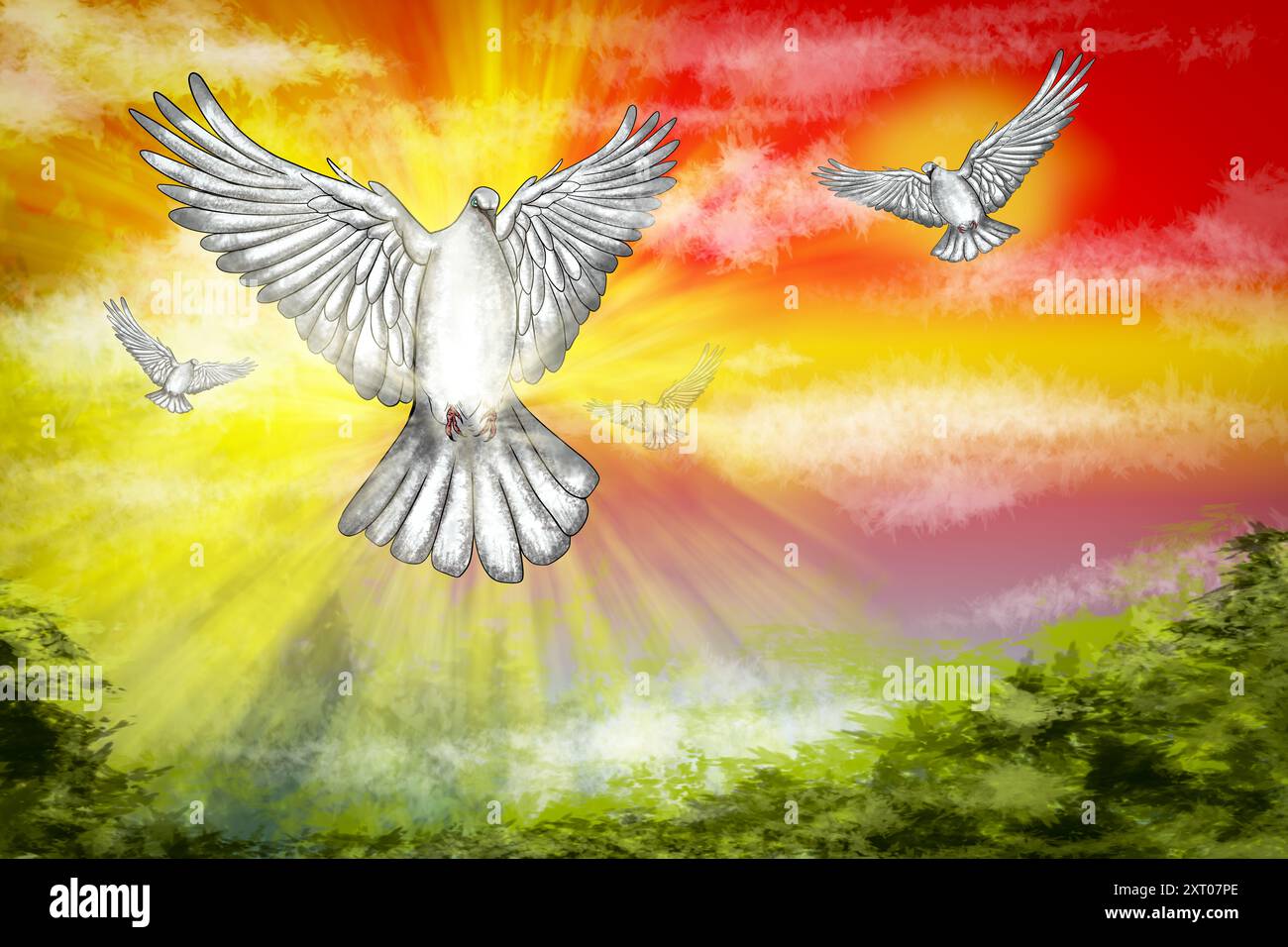 Colombe blanche volant dans un ciel coloré, représentant l'espoir et la paix Banque D'Images