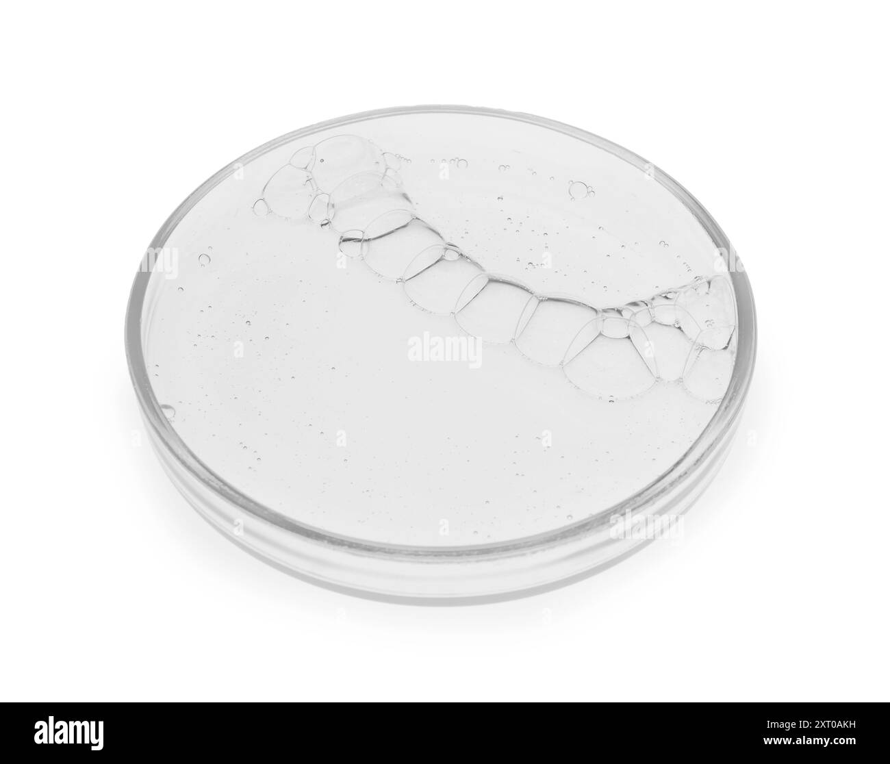 Boîte de Pétri avec échantillon isolé sur blanc Banque D'Images