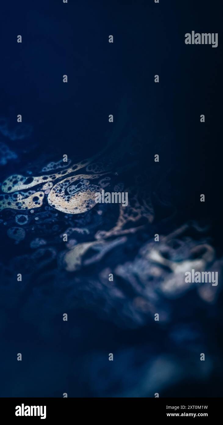 Fluide chimique. Liquide bulle. Vague de mélange de peinture de texture pétillante de couleur bleue défocalisée sur fond d'art abstrait d'évasement de lumière noire sombre. Banque D'Images