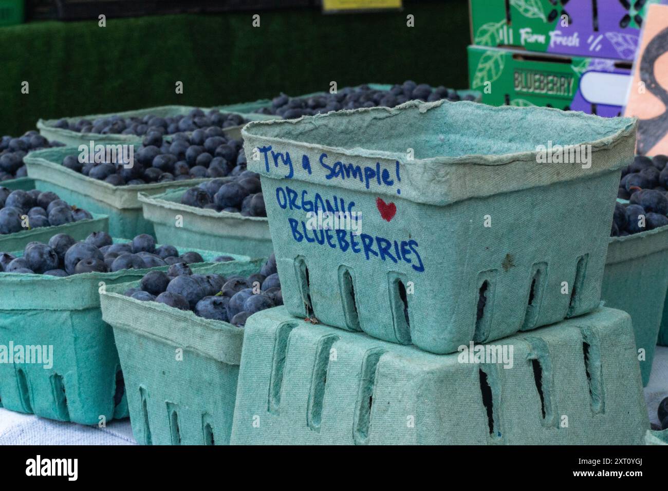 Essayez un échantillon ! Gros plan d'un échantillon de contenants compostables de bleuets biologiques fraîchement récoltés au Trout Lake Farmer's Market, en Colombie-Britannique Banque D'Images