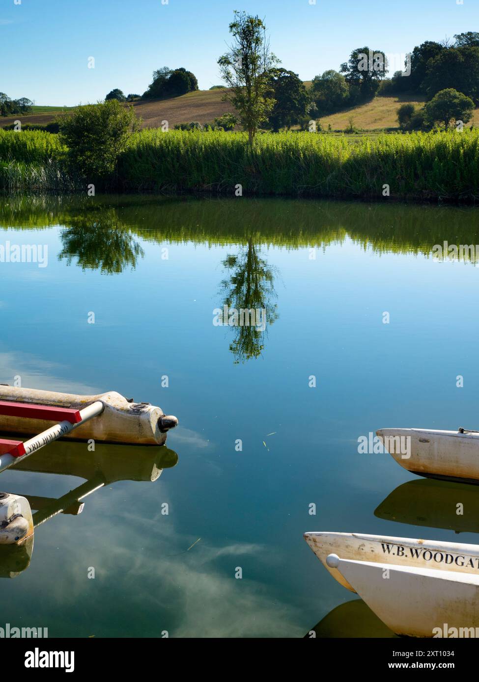 Fondé en 1921 et situé sur une belle partie de la Tamise dans l'Oxfordshire, Radley Boathouse sert Radley College et les amateurs d'aviron locaux depuis plus d'un siècle. Si vous vous tenez sur sa jetée et regardez à travers la rive nord de la rivière, vous verrez un arbre isolé et plutôt charmant, qui semble changer de caractère et d'apparence tout au long de l'année. Ici, nous le voyons par une belle et ensoleillée matinée d'été, avec les catamarans de plaisir omniprésents du hangar à bateaux au premier plan. Banque D'Images