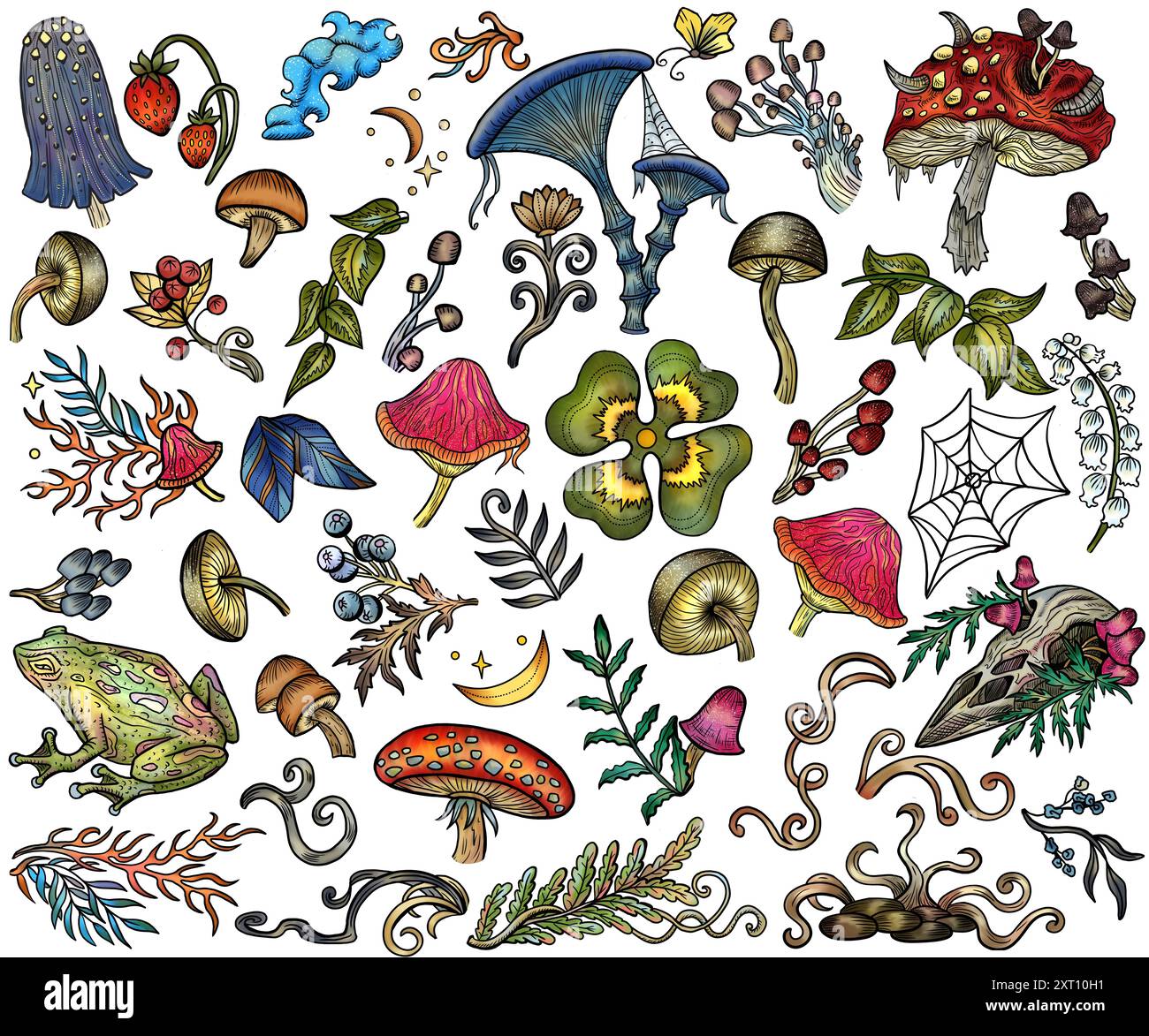 Ensemble graphique design avec champignons mystiques, éléments décoratifs magiques et floraux de doodle, symboles de sorcellerie isolés sur blanc. Carto ésotérique et sorcier Banque D'Images