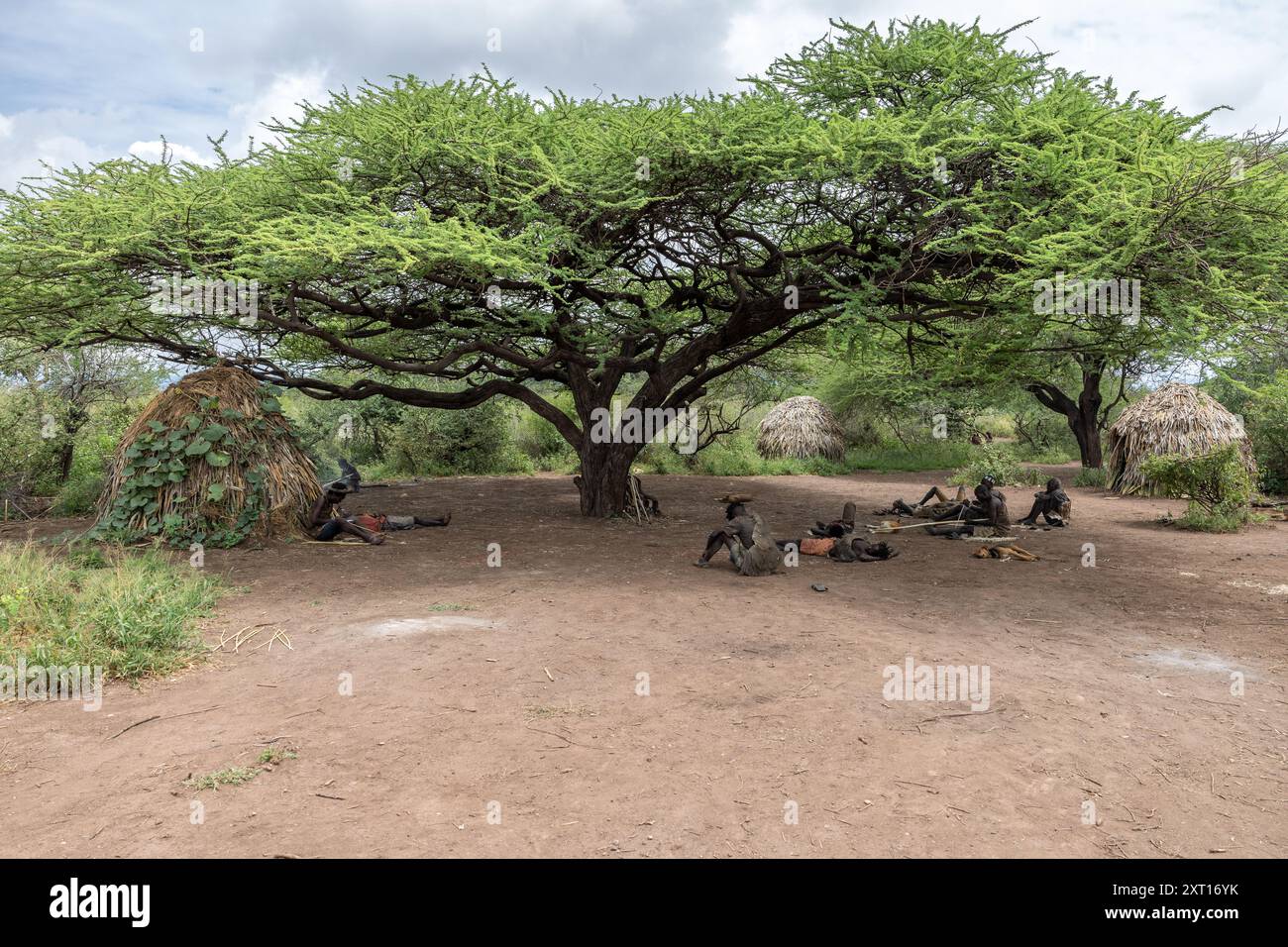 Tribu Hadzabe, camp, sous acacias à épine rouge, chasseurs-cueilleurs, Tanzanie Banque D'Images