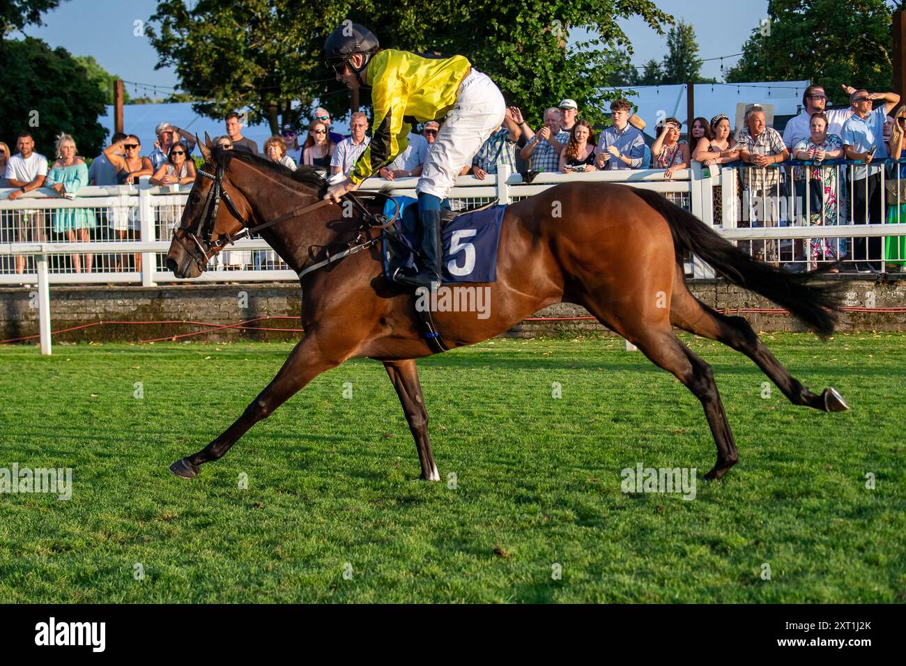 Windsor, Berkshire, Royaume-Uni. 12 août 2024. Les coureurs des Fitzdares félicitent Laura Collett & London 52 handicap Stakes (Class 6) au Royal Windsor Racecourse à Windsor, Berkshire, au Vegas Racenight. La course a été remportée par Horse KINETIC monté par le jockey Callum Shepherd. Propriétaire GTS Racing, Trainr James Owen, Newmarket, éleveur Lynn Lodge Stud Crédit : Maureen McLean/Alamy Live News Banque D'Images