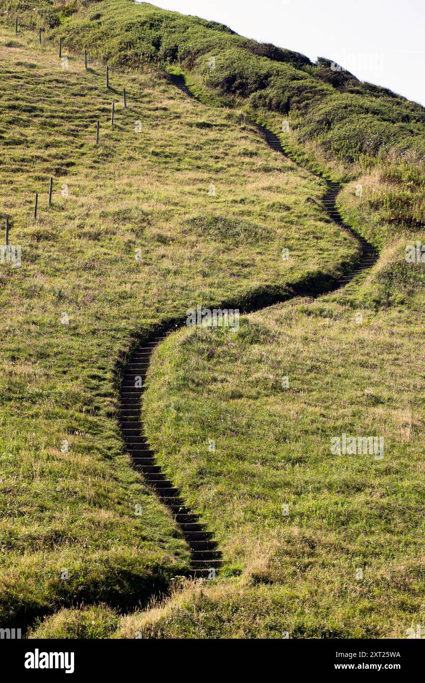 Gros plan d'une section escarpée du South West Coast Path, à Pentargon Cove, près de Boscastle, Cornouailles, Royaume-Uni Banque D'Images