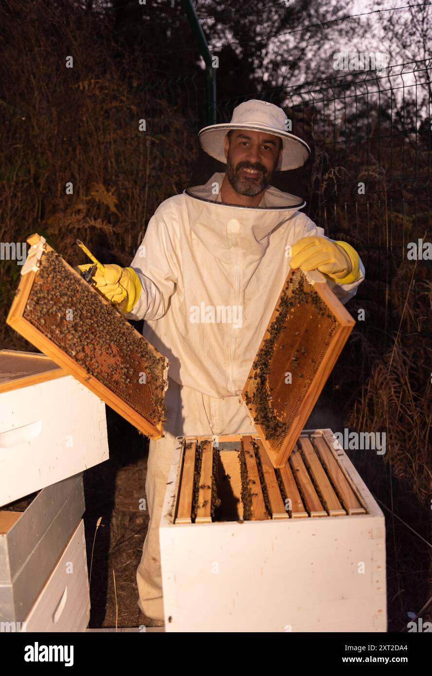 Apiculteur ouvrant un cadre de ruche dans une ferme d'abeilles Banque D'Images