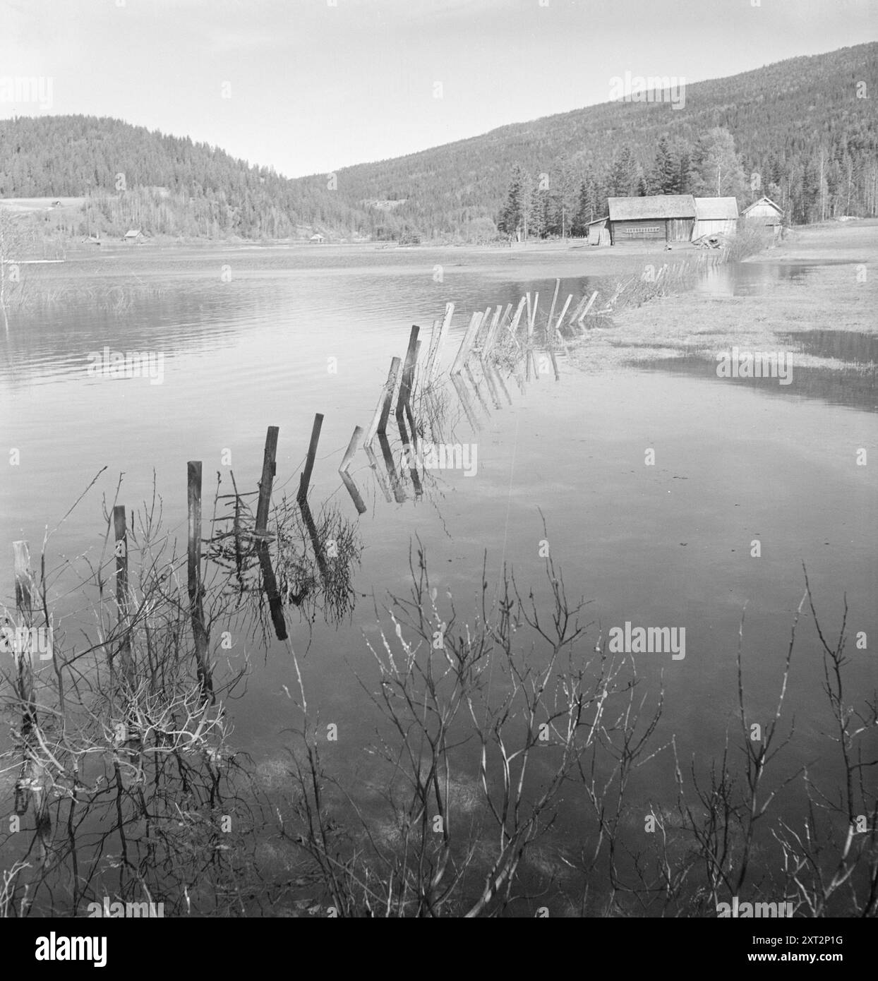 1951 : crue printanière normale seulement. Sør-Etnedal a connu son crue printanière annuelle - un peu plus étendue que d'habitude. L'Etna déborde de ses rives. Ensuite, environ 1 800 acres de terres arables seront sous l'eau pendant trois semaines. Il est peu utile de semer des céréales ou de planter des pommes de terre ici, de sorte que les agriculteurs ne perdent pas peu d'argent à cause des inondations annuelles. S'il y a beaucoup de pluie en été, les champs peuvent être inondés deux et trois fois. L'année dernière, c'était vraiment mauvais. Photo : Sverre A. Børretzen / Aktuell / NTB ***la photo n'est pas traitée*** le texte de cette image est traduit automatiquement Banque D'Images