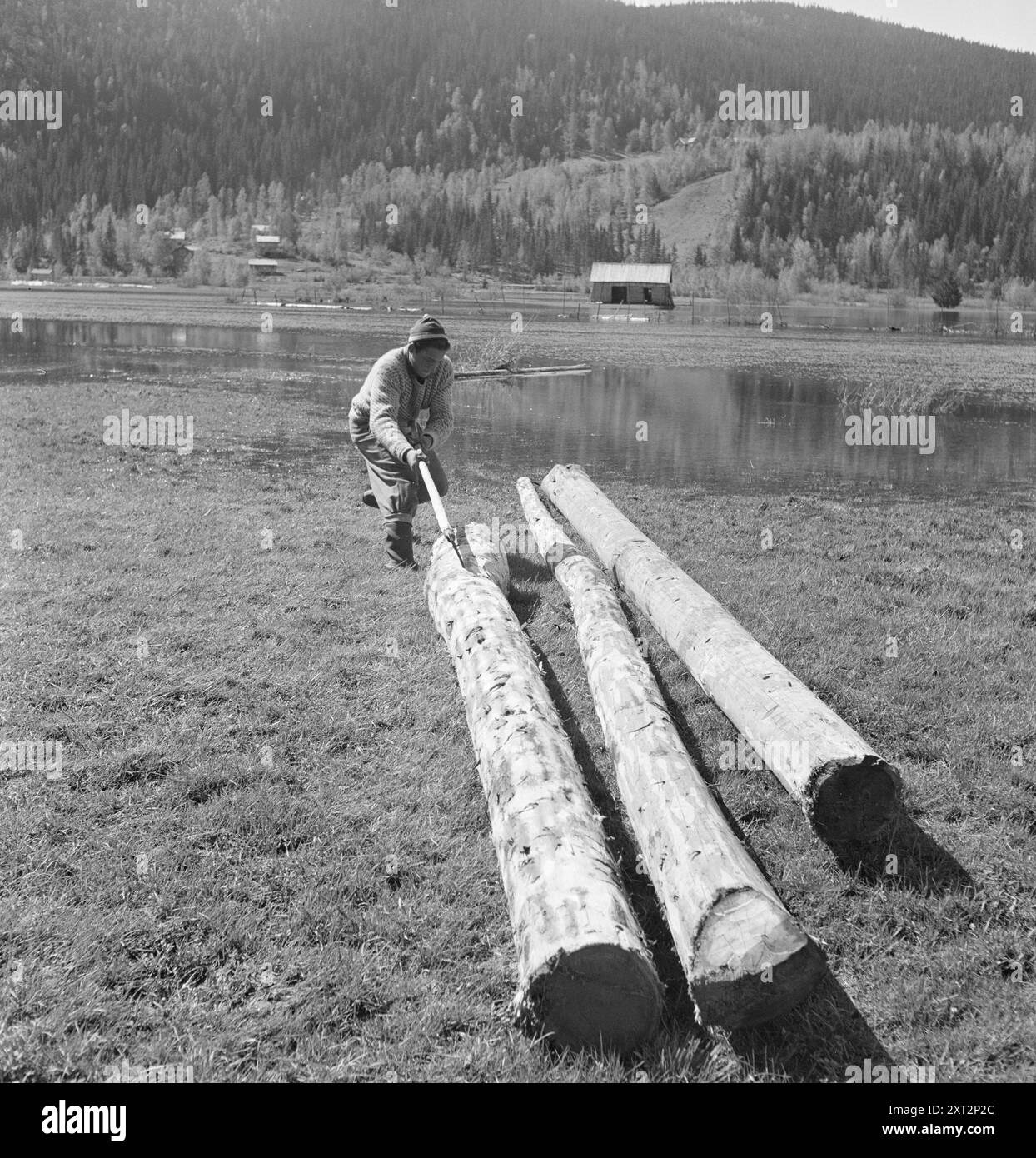 1951 : crue printanière normale seulement. Sør-Etnedal a connu son crue printanière annuelle - un peu plus étendue que d'habitude. L'Etna déborde de ses rives. Ensuite, environ 1 800 acres de terres arables seront sous l'eau pendant trois semaines. Il est peu utile de semer des céréales ou de planter des pommes de terre ici, de sorte que les agriculteurs ne perdent pas peu d'argent à cause des inondations annuelles. Photo : Sverre A. Børretzen / Aktuell / NTB ***la photo n'est pas traitée*** le texte de cette image est traduit automatiquement Banque D'Images