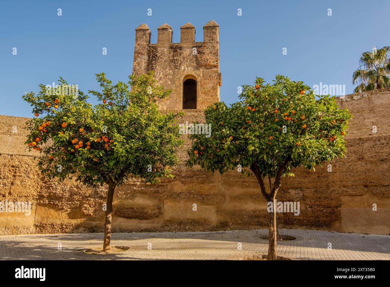 Vieux remparts de la ville historique de Séville, Andalousie, Espagne, Europe Banque D'Images