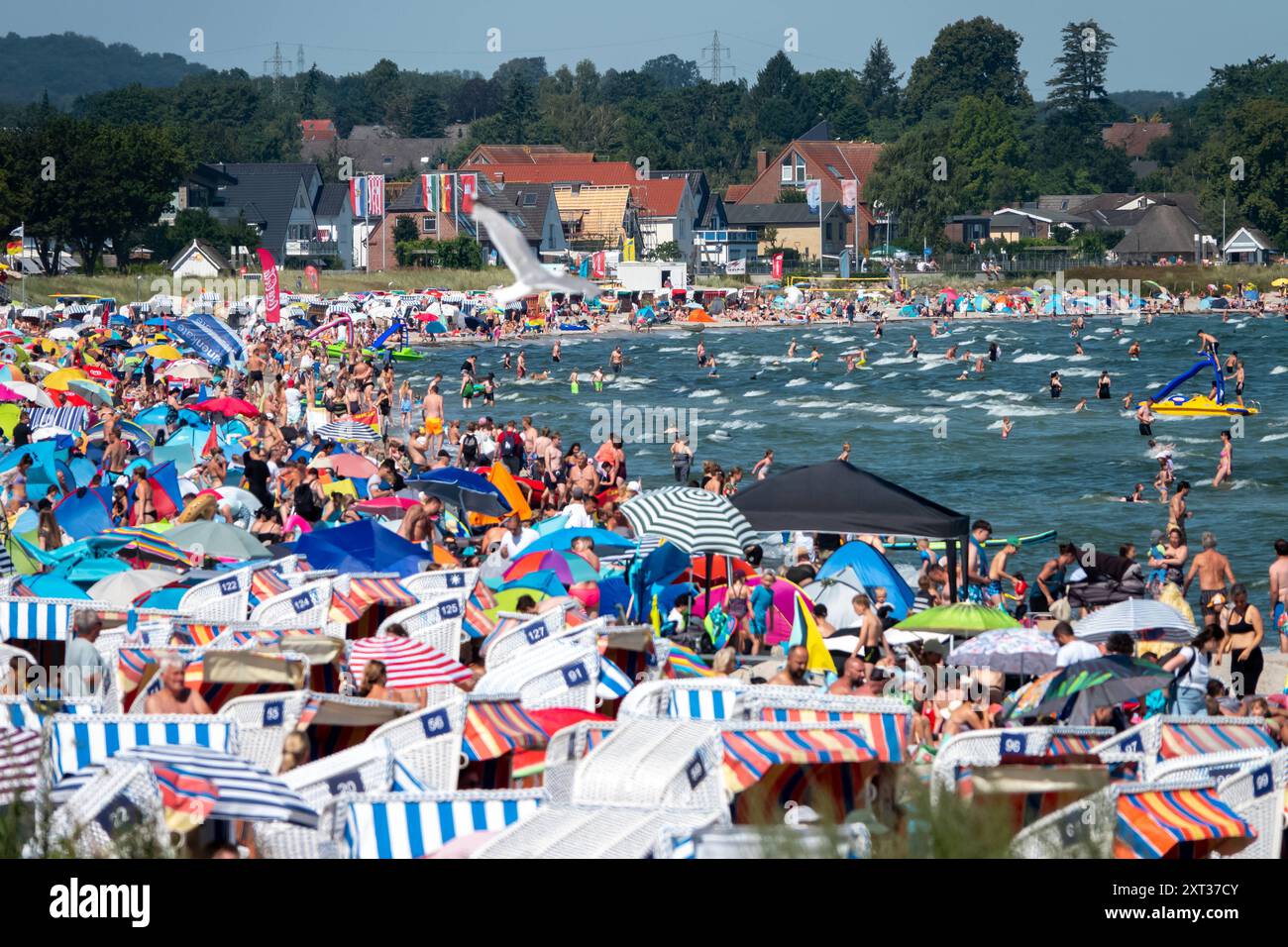Voller Sommerstrand in Scharbeutz Das Bild zeigt einen vollen Strand in Scharbeutz an der Ostseeküste an einem sonnigen heißen Sommertag. Der Strand ist dicht besetzt mit Strandkörben, bunten Sonnenschirmen und zahlreichen Badegästen, die das warme Wetter genießen. IM Wasser tummeln sich Menschen, die schwimmen oder einfach im seichten Wasser stehen. An vielen Orten in Deutschland könnte es heute der bislang heißeste Tag des Jahres werden. Scharbeutz Schleswig-Holstein Deutschland *** plage d'été complète à Scharbeutz L'image montre une plage complète à Scharbeutz sur la côte de la mer Baltique sur un chaud Banque D'Images
