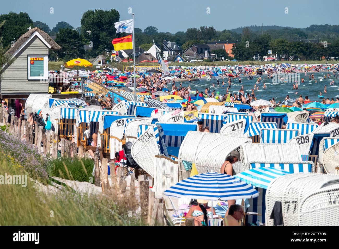 Voller Sommerstrand in Scharbeutz Das Bild zeigt einen vollen Strand in Scharbeutz an der Ostseeküste an einem sonnigen heißen Sommertag. Der Strand ist dicht besetzt mit Strandkörben, bunten Sonnenschirmen und zahlreichen Badegästen, die das warme Wetter genießen. IM Wasser tummeln sich Menschen, die schwimmen oder einfach im seichten Wasser stehen. An vielen Orten in Deutschland könnte es heute der bislang heißeste Tag des Jahres werden. Scharbeutz Schleswig-Holstein Deutschland *** plage d'été complète à Scharbeutz L'image montre une plage complète à Scharbeutz sur la côte de la mer Baltique sur un chaud Banque D'Images
