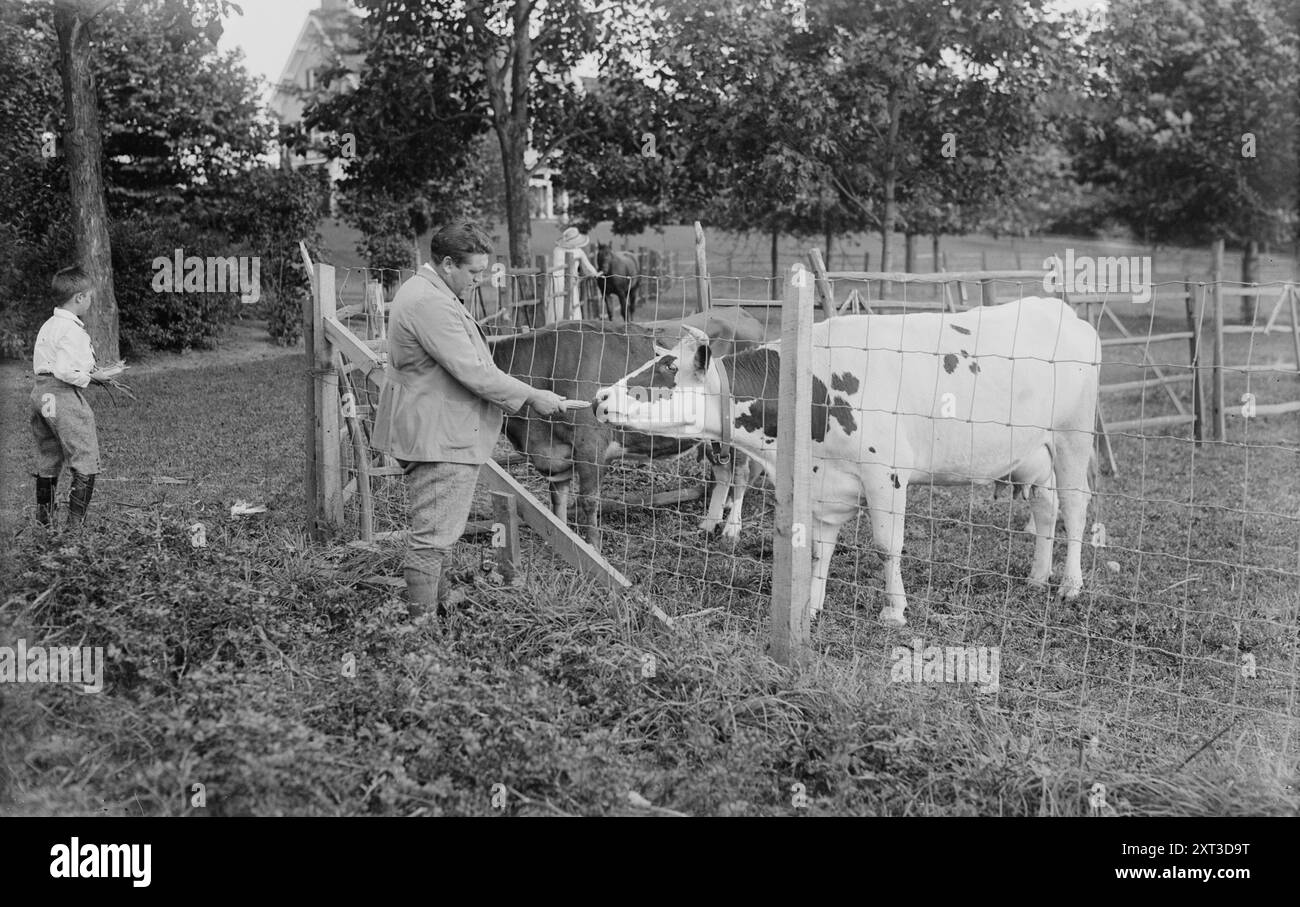 J. McCormack, entre c1915 et c1920. Montre le chanteur ténor irlandais américain John McCormack (1884-1945) nourrissant une vache de Guernesey. Cyril, le fils de McCormack, se tient derrière lui, avec sa femme, la chanteuse Liley Foley au loin. Ils sont probablement au domaine McCormack Lilydale à Noroton, Darien, Connecticut. Banque D'Images