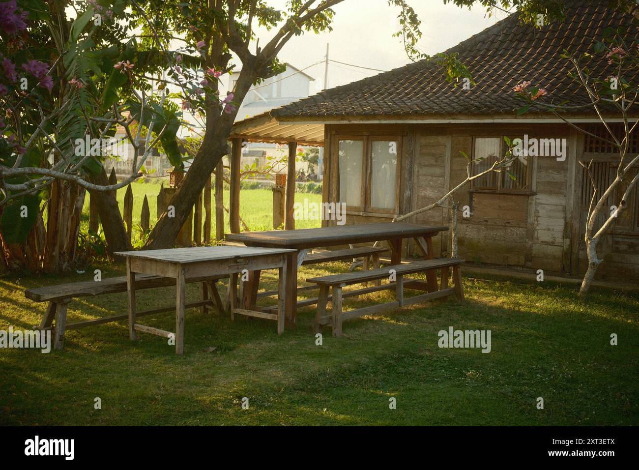 Tabanan, Bali, Indonésie - 9 août 2024 : une maison rustique traditionnelle en bois dans un village à la campagne avec un jardin tropical, pelouse, woo extérieur Banque D'Images