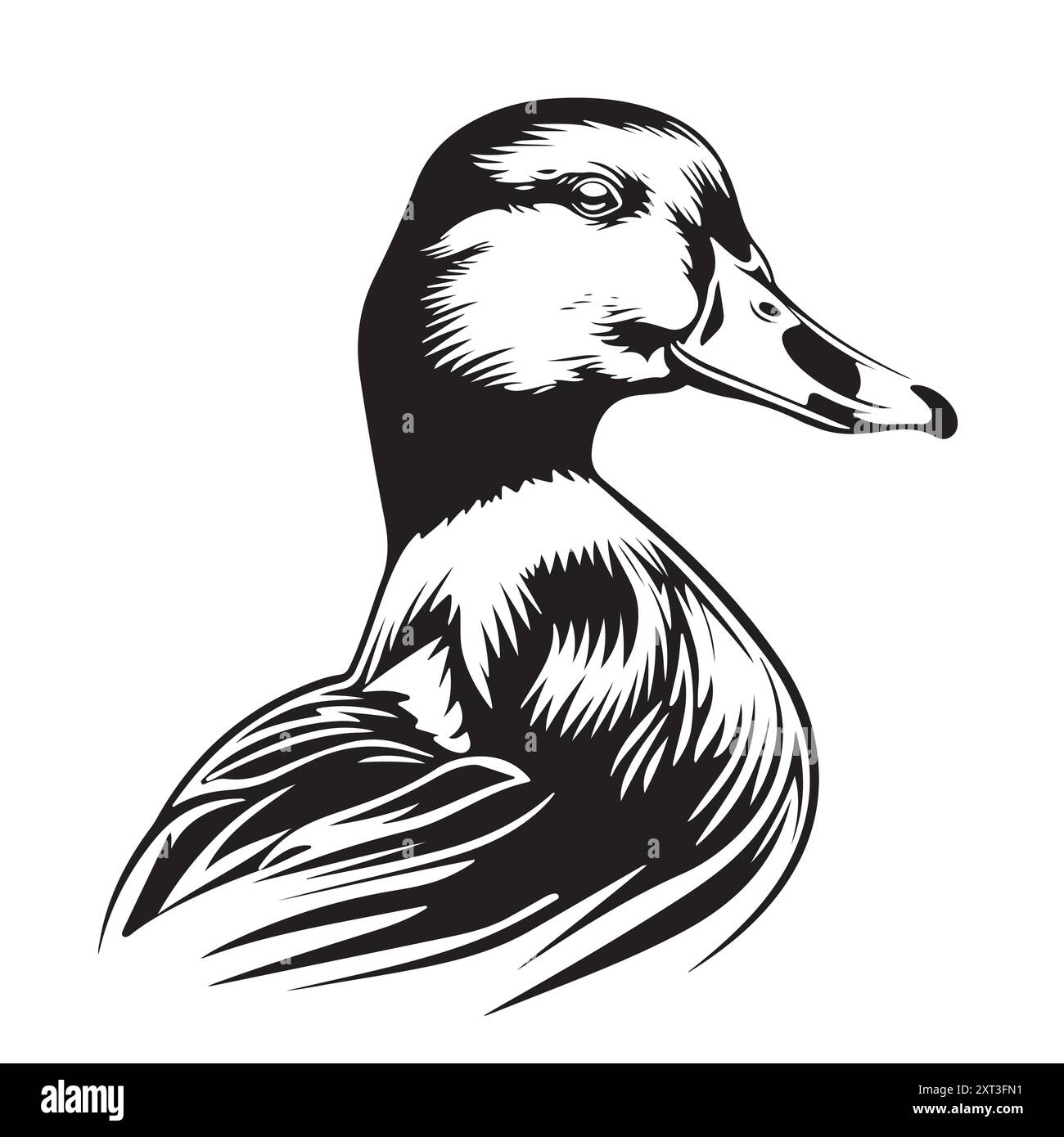 Croquis de tête de canard colvert illustration vectorielle peinte chasse aux oiseaux Illustration de Vecteur