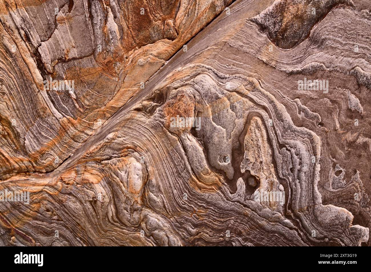 Une vue rapprochée d'une falaise au bord de la mer, montrant des motifs naturels complexes et des textures. L'image capture le beau contraste entre les couches Banque D'Images