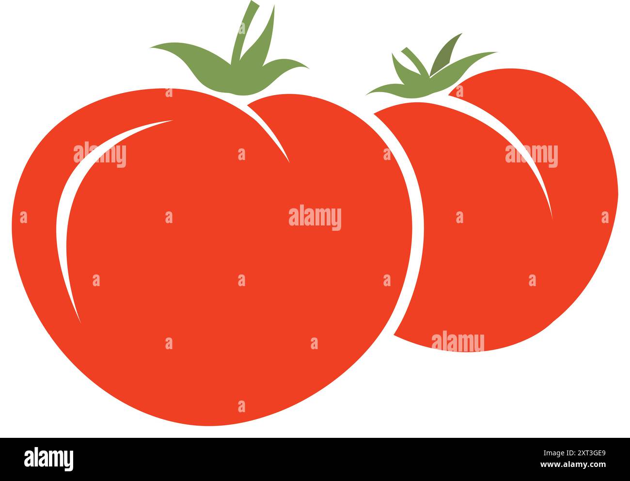 Tomates juteuses rouges mûres biologiques fraîches : produire l'illustration. Illustration vectorielle. Tomate mûre biologique fraîche. Ressource de l'industrie alimentaire. Illustration de Vecteur