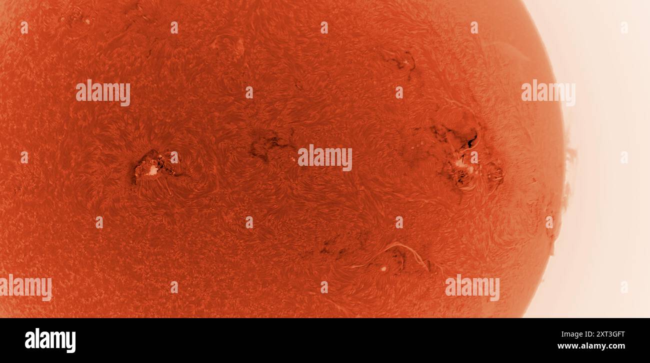 Taches solaires sur la surface solaire le 13 août 2024. L'image est capturée avec le filtre solaire à bande d'onde alpha hydrogène pour montrer clairement les champs magnétiques de surface et les filaments et donner des vues détaillées de deux grands groupes de taches solaires. Crédit : Malcolm Park/Alamy Banque D'Images