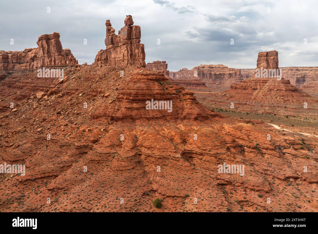 Une vaste prise de vue aérienne capture les majestueuses formations rocheuses de la Vallée des Dieux dans l'Utah, aux États-Unis, mettant en valeur le grès rouge naturel et les vastes des Banque D'Images