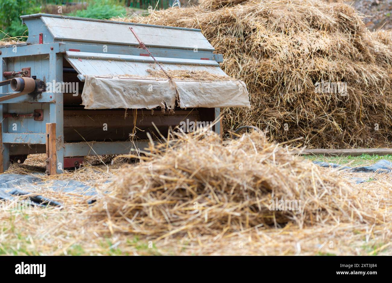 Un ancien batteur entouré de tas de paille démontre les méthodes agricoles traditionnelles utilisées dans la transformation du blé Banque D'Images