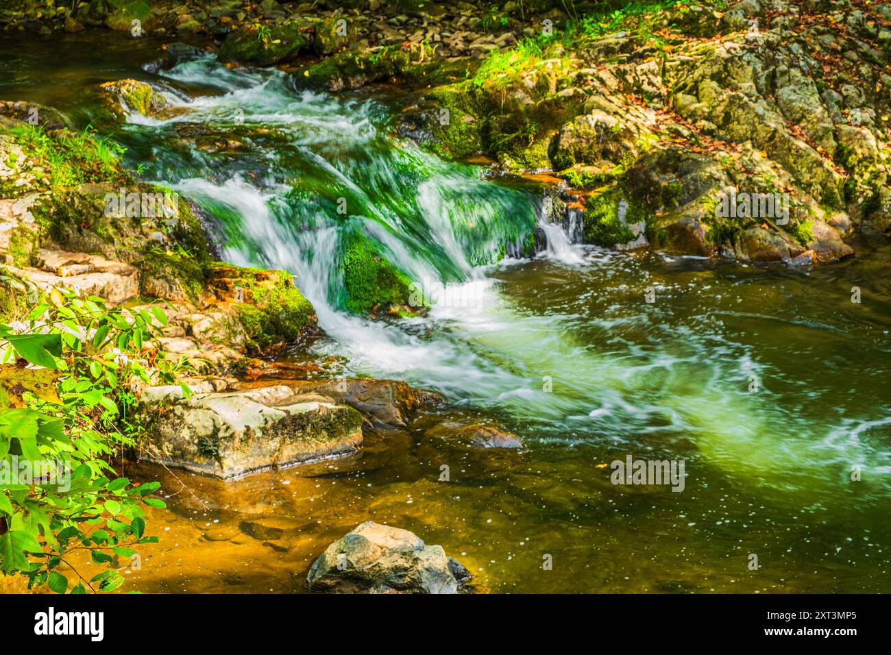 Paint Creek coule sur la roche moussue avant de glisser dans une piscine dans le comté de Greene, Tennessee. Banque D'Images