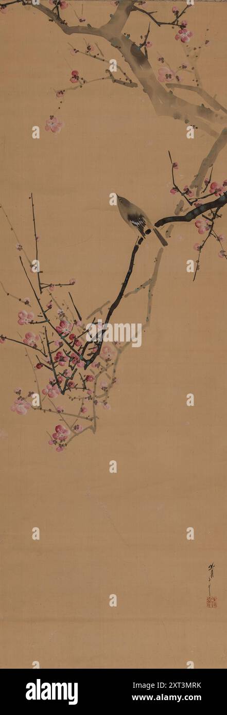 Nightingale japonaise, sur une branche de prune rouge, 1910. Trouvé dans la collection de la Collezione Claudio Perino. Banque D'Images