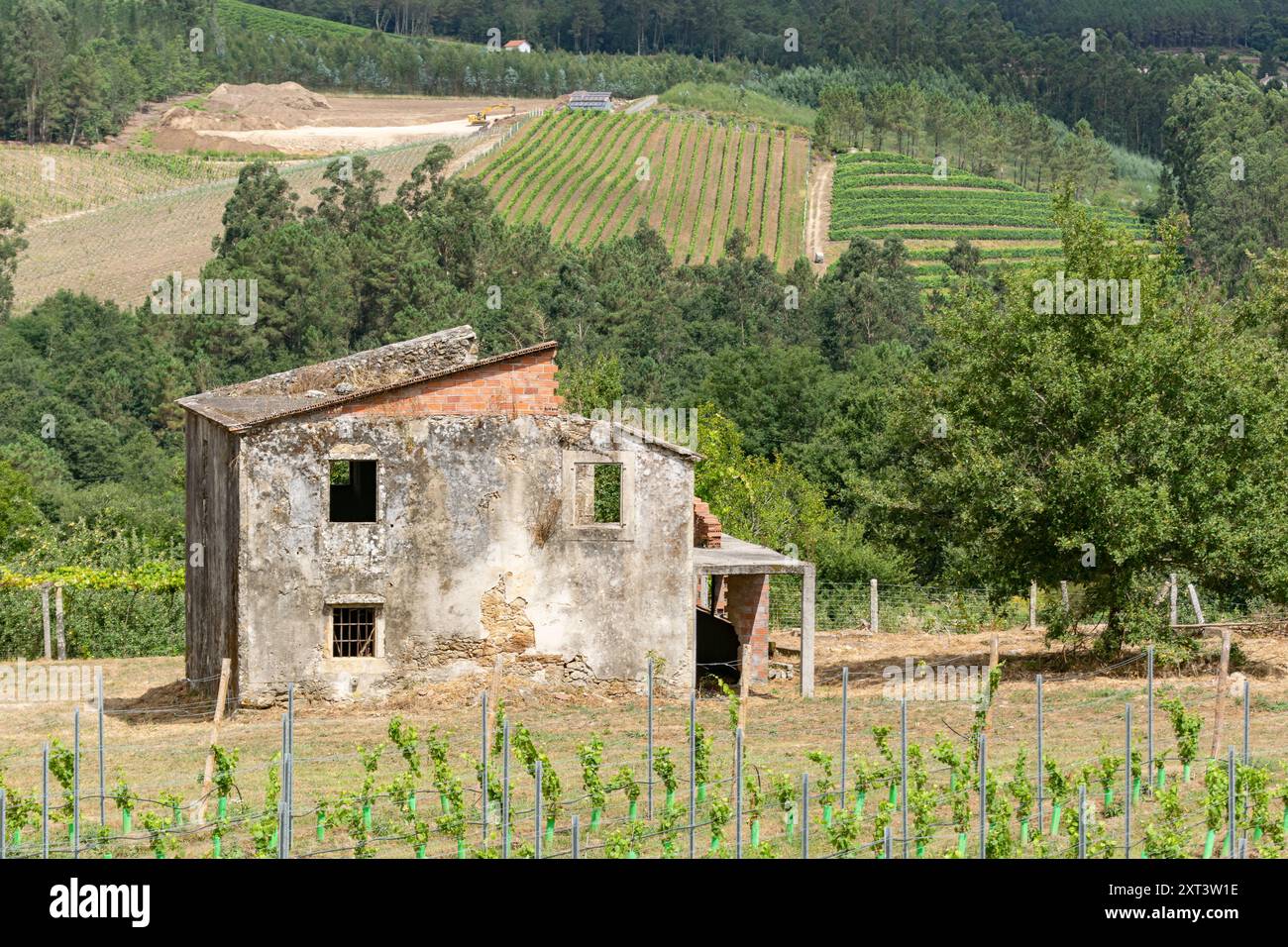 Paysage d'un vignoble de montagne et d'une maison en ruine avec une autre plantation de vignoble à proximité Banque D'Images