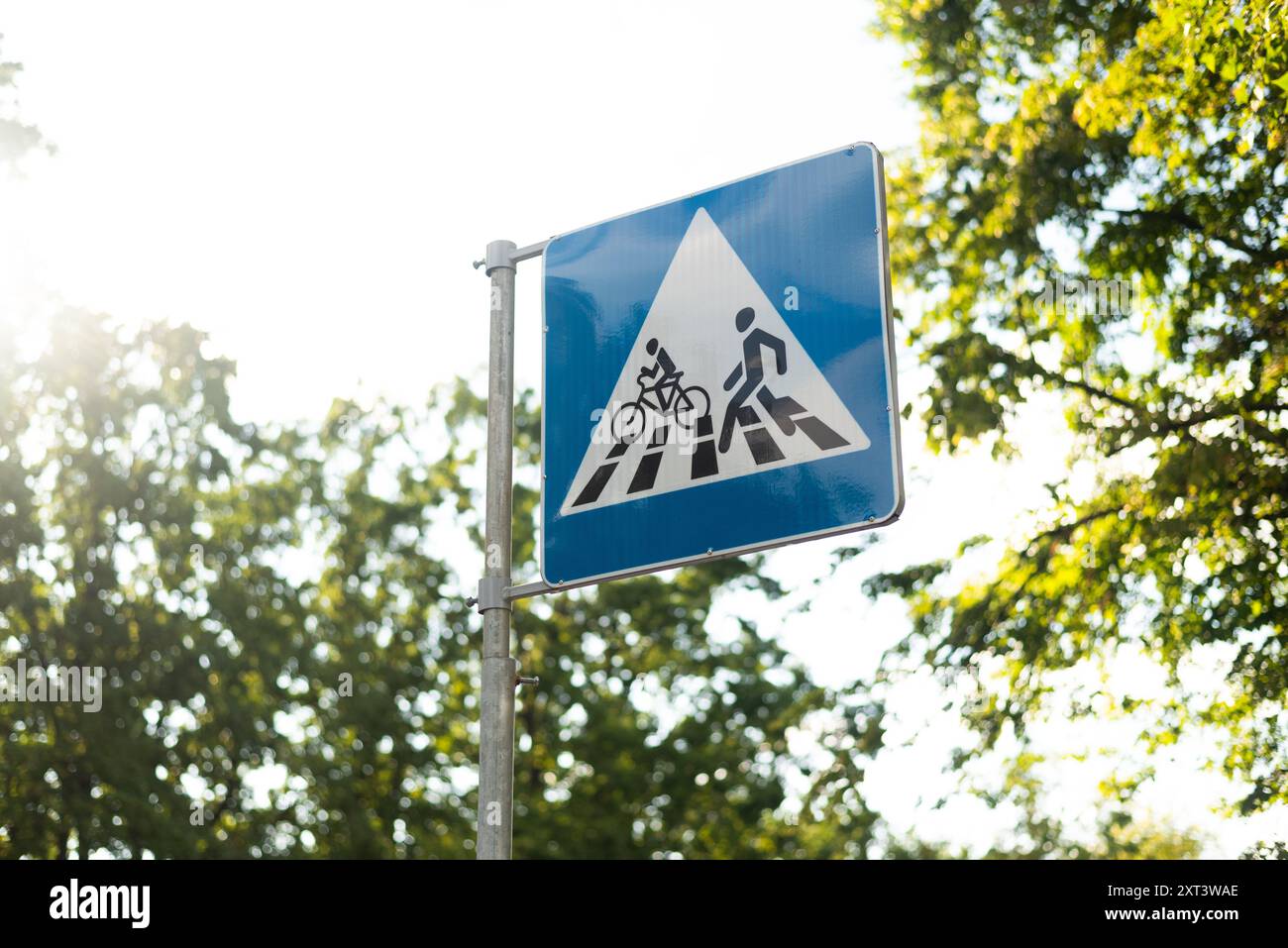 Panneau routier bleu et blanc piéton et bicyclettes Crossing sur fond vert luxuriant ensoleillé. Banque D'Images