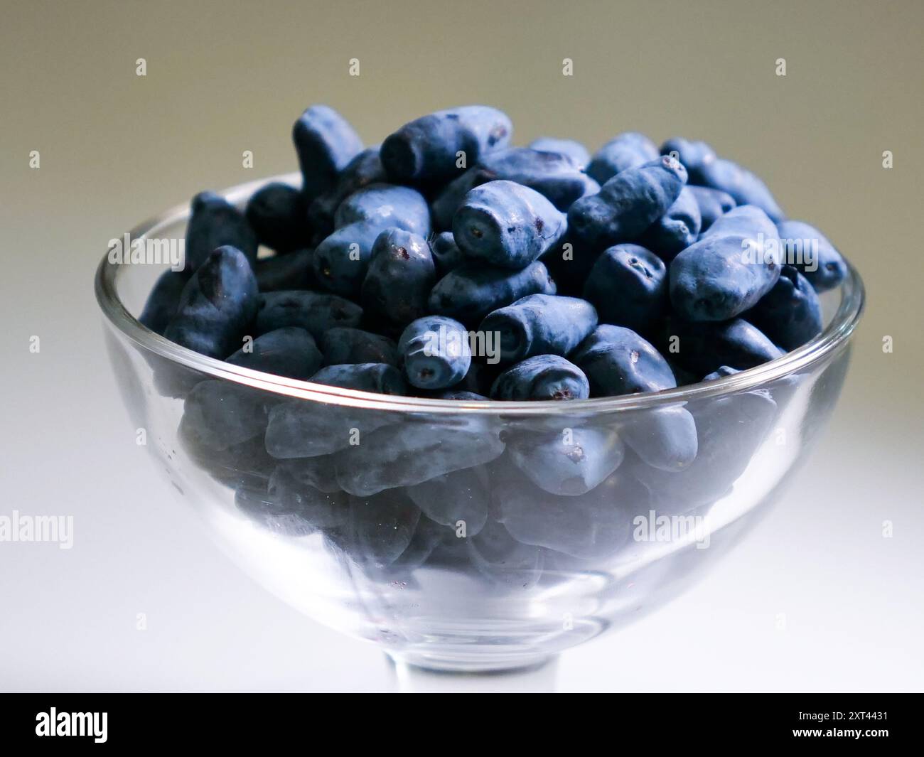 Gros plan d'un bol en verre rempli de baies de miel (Lonicera caerulea) fraîches et abondantes, mettant en valeur leur couleur bleue éclatante et leur forme unique. Banque D'Images