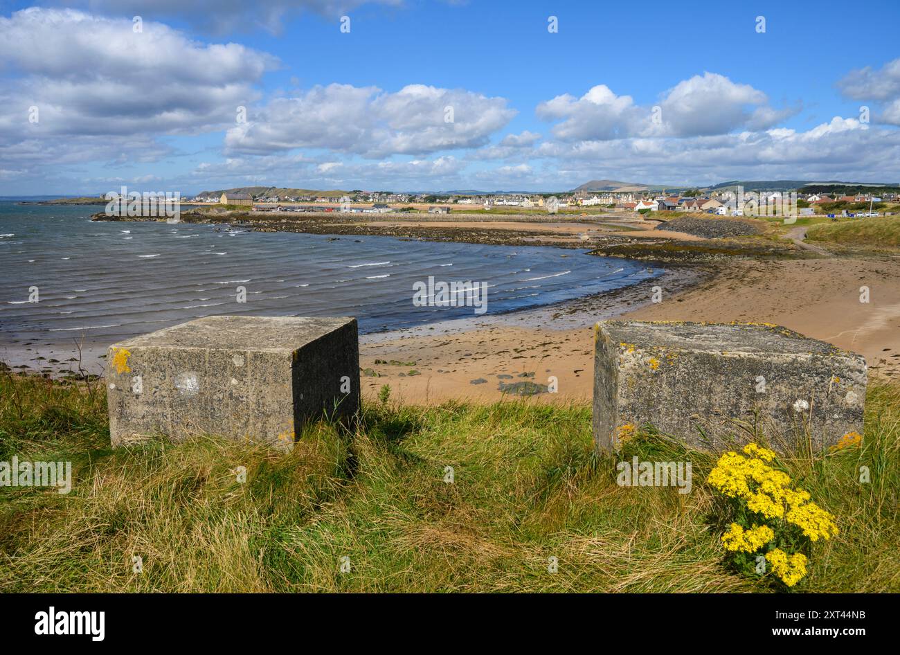 Ruby Bay, Elie, Fife, Écosse, Royaume-Uni. Banque D'Images