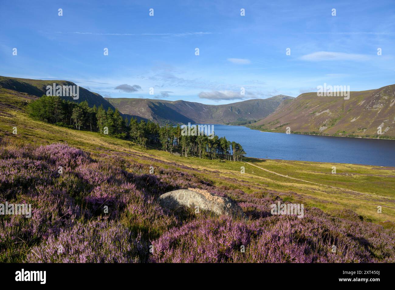 Loch Muick, Balmoral Estate, Deeside, Aberdeenshire, Écosse, ROYAUME-UNI. Banque D'Images