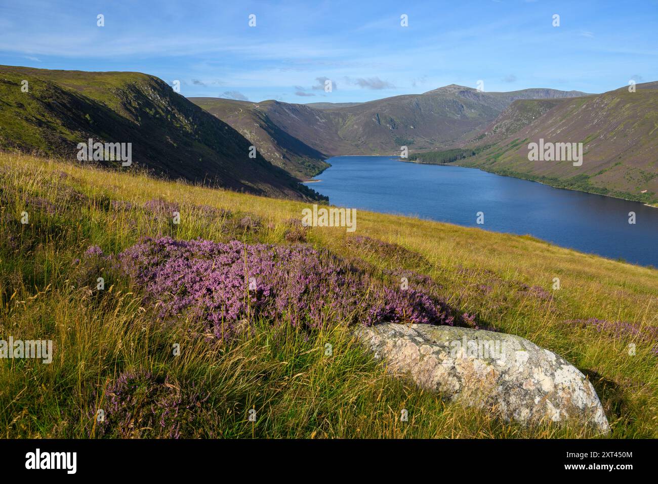 Loch Muick, Balmoral Estate, Deeside, Aberdeenshire, Écosse, ROYAUME-UNI. Banque D'Images