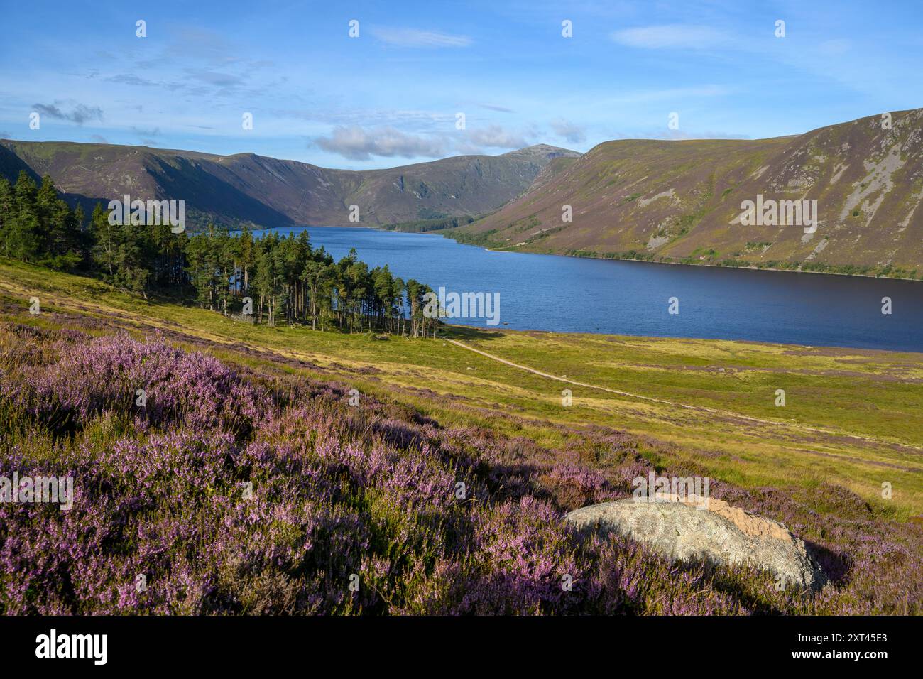 Loch Muick, Balmoral Estate, Deeside, Aberdeenshire, Écosse, ROYAUME-UNI. Banque D'Images