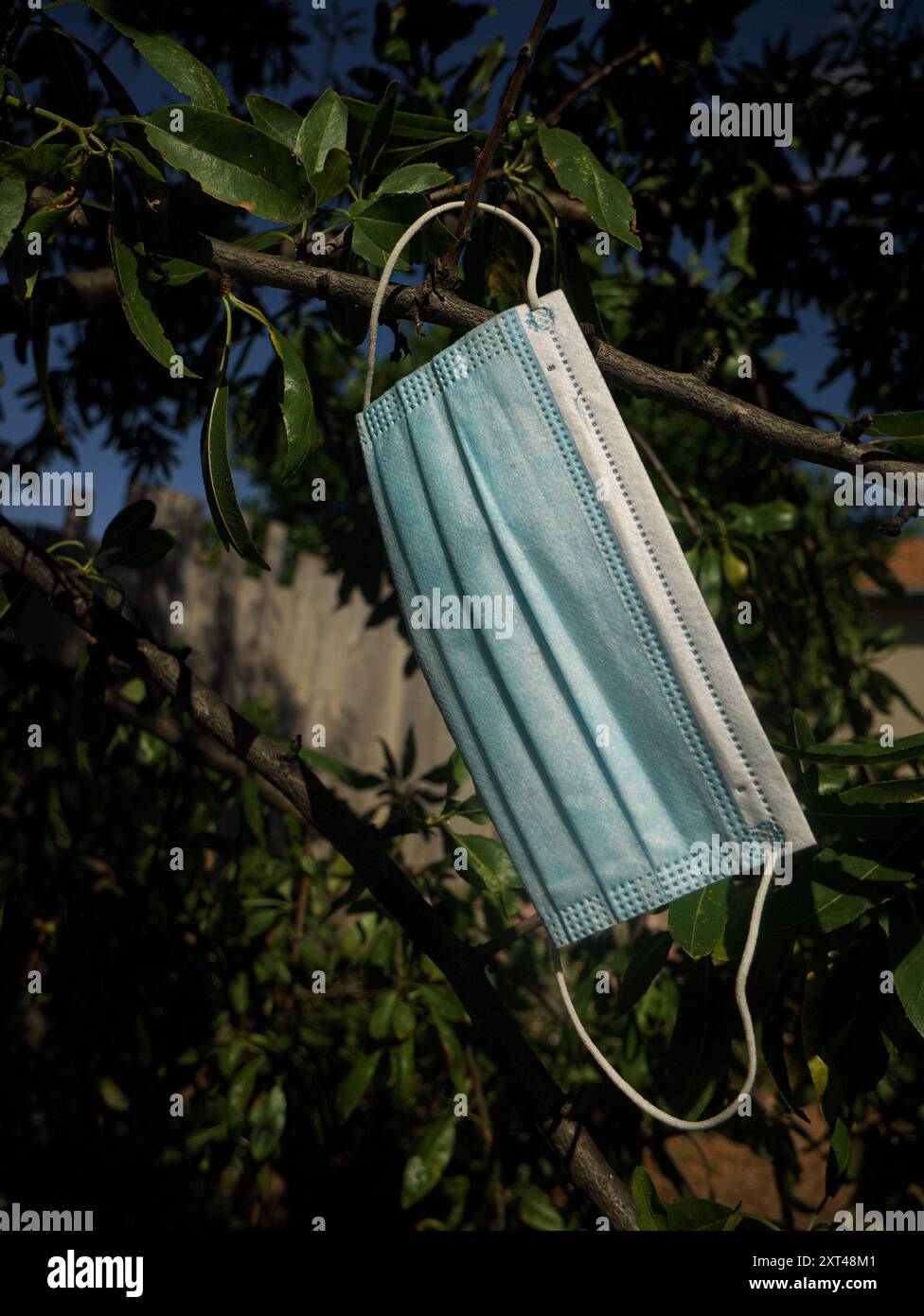 Un cllose-up d'un masque médical jeté, suspendu dans les branches d'un arbre Banque D'Images