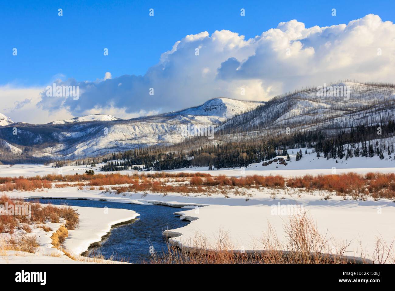 La rivière Rio Grande et les montagnes San Juan près de Creede, Colorado, États-Unis, en hiver Banque D'Images