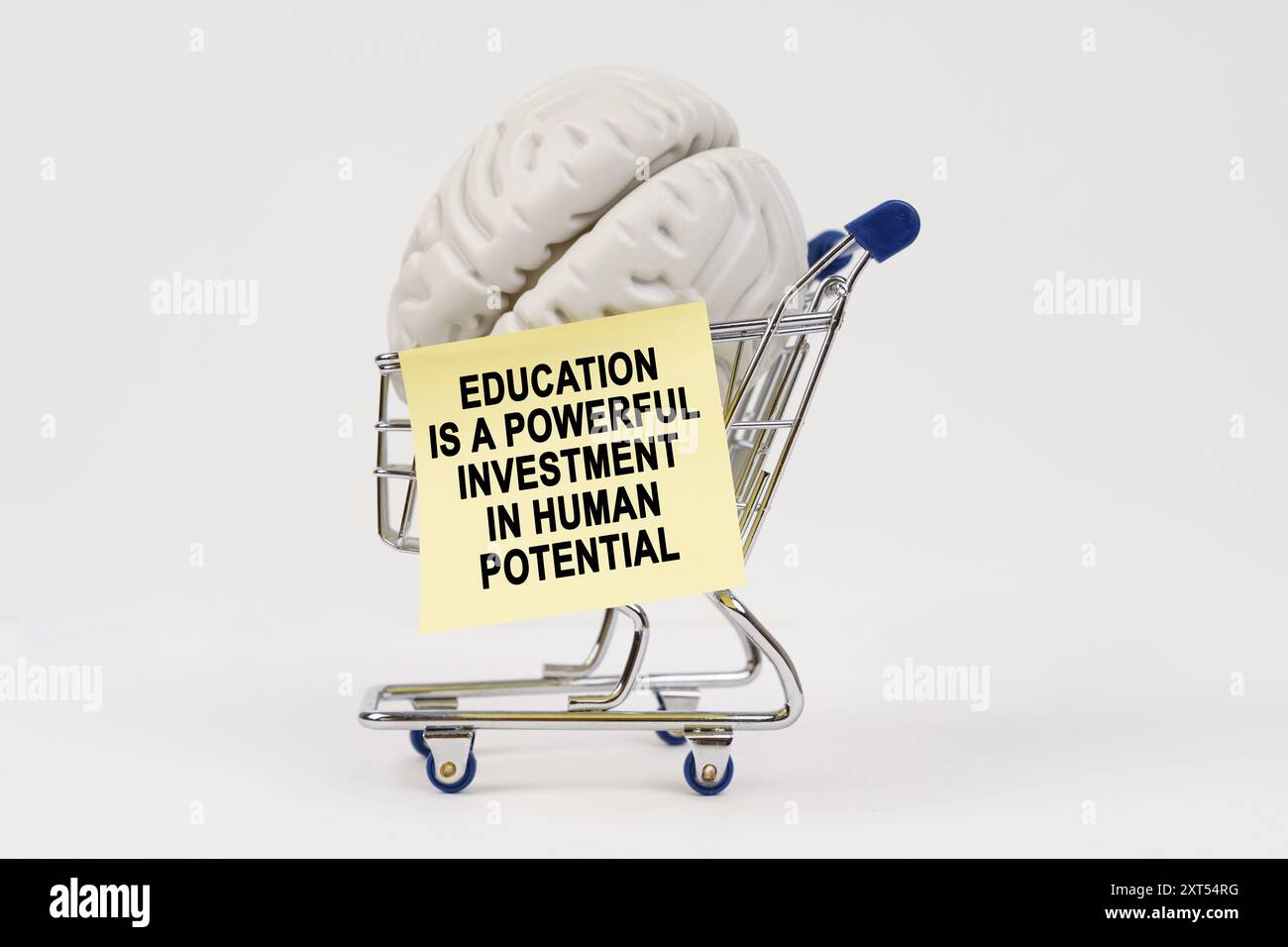 Un petit panier tient un modèle de cerveau avec une note promouvant l'éducation comme un investissement vital dans le potentiel humain. L'éducation est un investissement puissant Banque D'Images